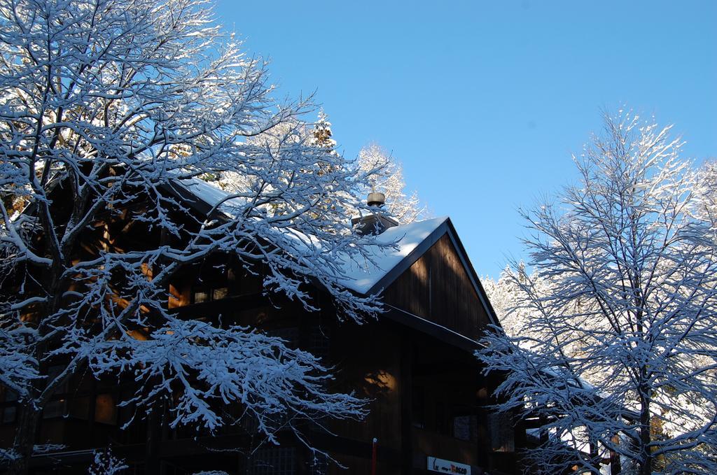Il Bosco Villa Hakuba Ngoại thất bức ảnh