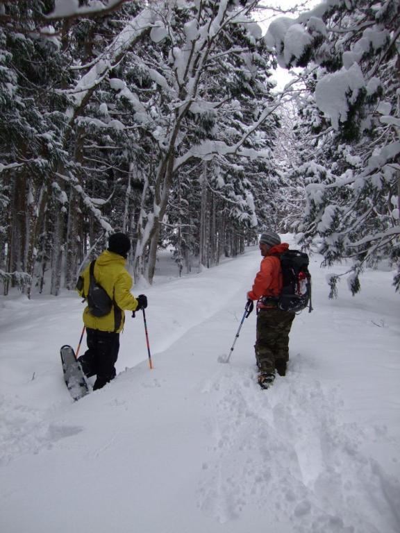 Il Bosco Villa Hakuba Ngoại thất bức ảnh