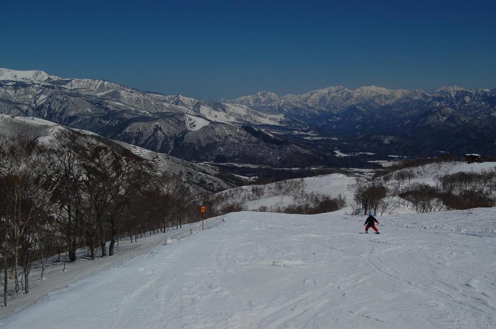 Il Bosco Villa Hakuba Ngoại thất bức ảnh