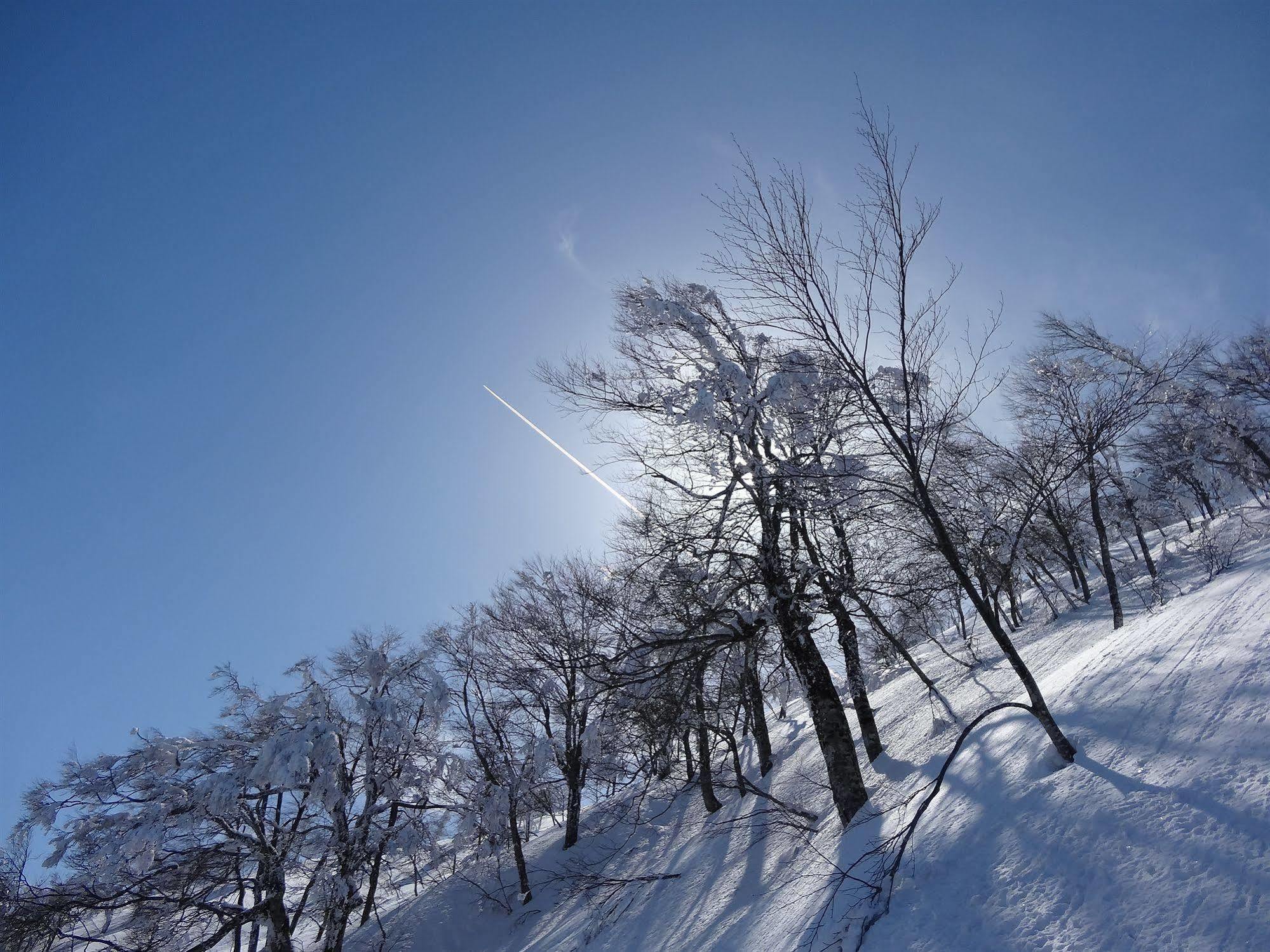 Il Bosco Villa Hakuba Ngoại thất bức ảnh